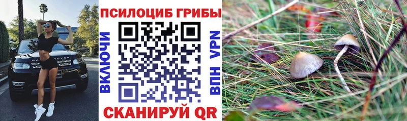 Галлюциногенные грибы Cubensis  Гаврилов-Ям 